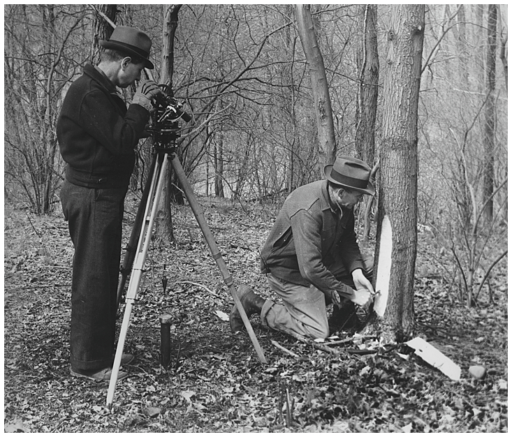 Two General Land Office surveyors beside a tree, one operating a surveying instrument and the other scribing the tree.