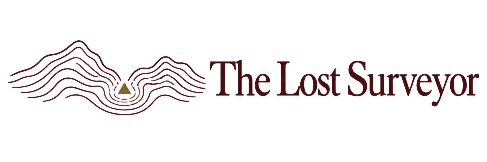 The Lost Surveyor