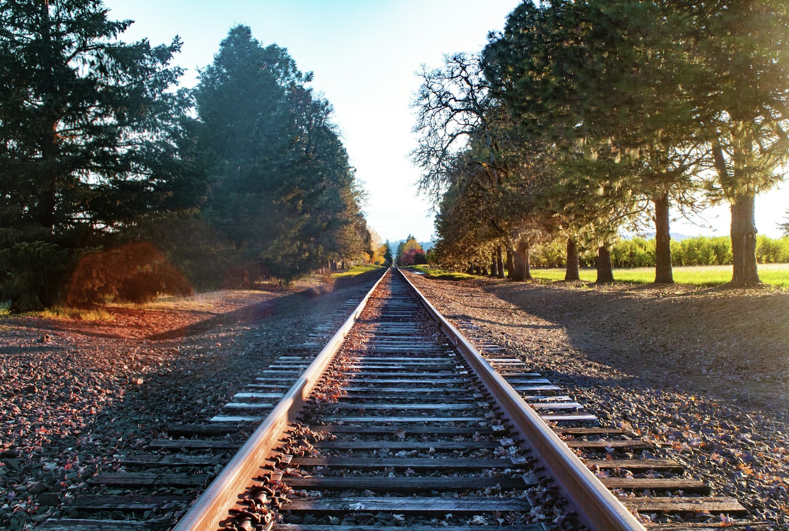 Weathered steel rails and ties