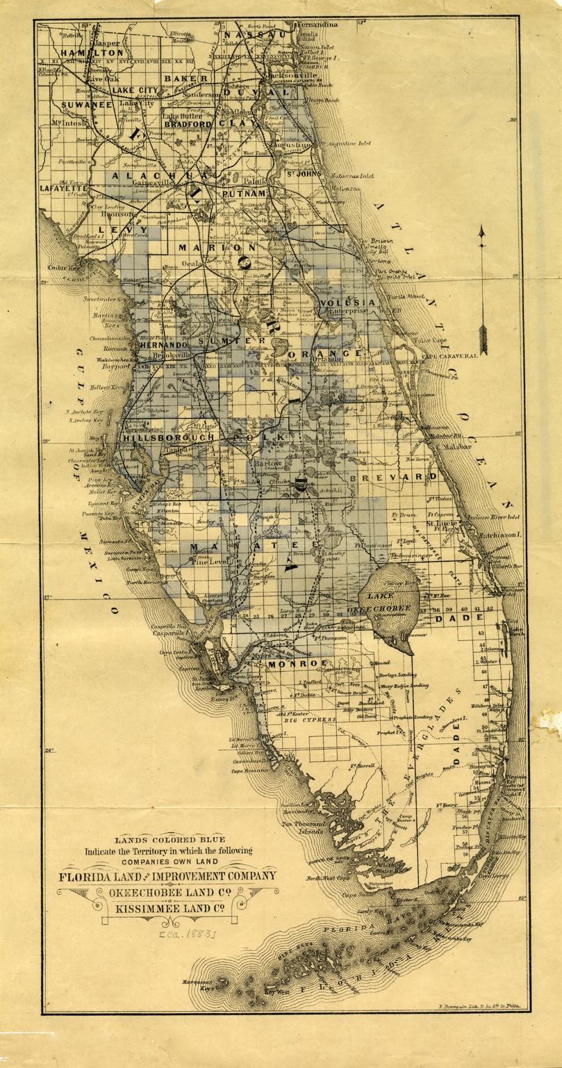 Complete circa-1883 Bourquin map of the Florida peninsula, preserving the sheet's original tall proportions, blue company-land shading and company legend.