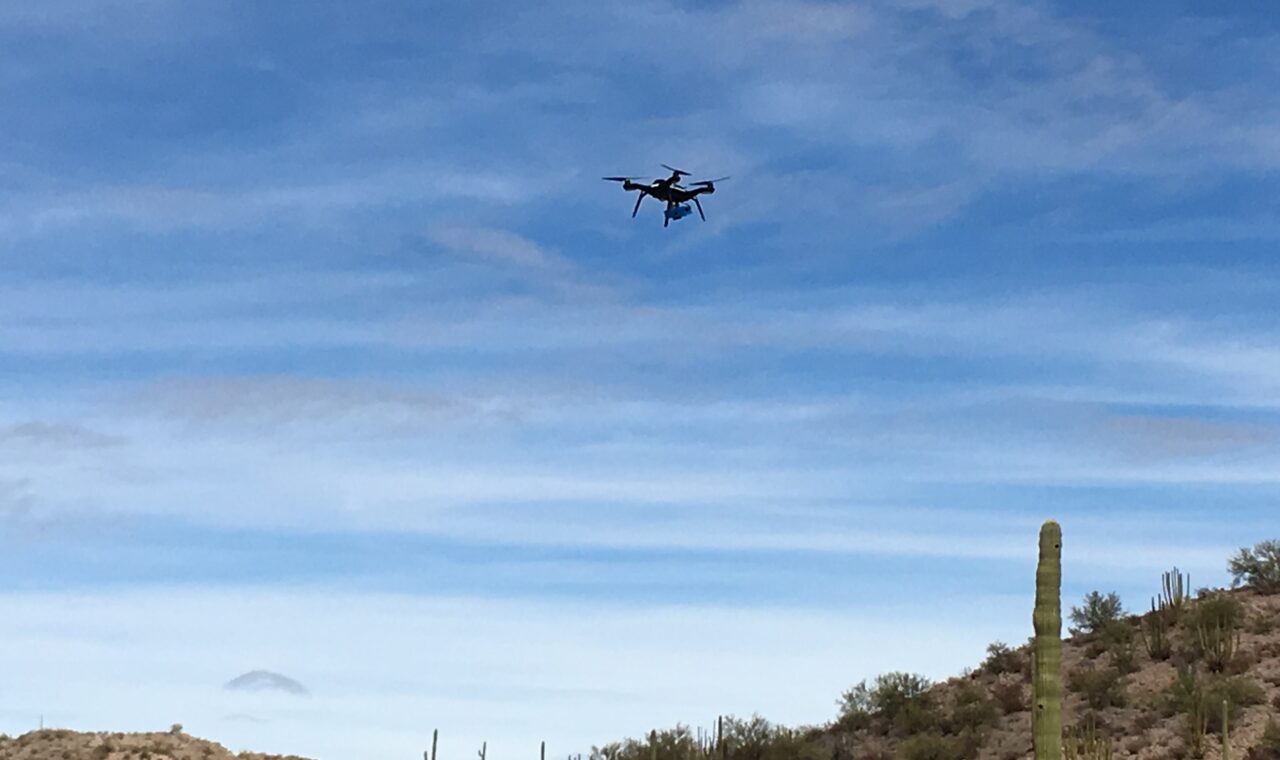 A small quadcopter flies above desert terrain with a saguaro cactus behind it.