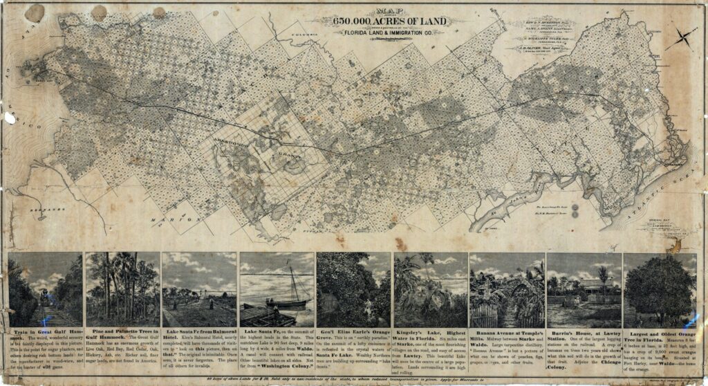 Historic map of 650,000 acres owned and controlled by the Florida Land and Immigration Company.