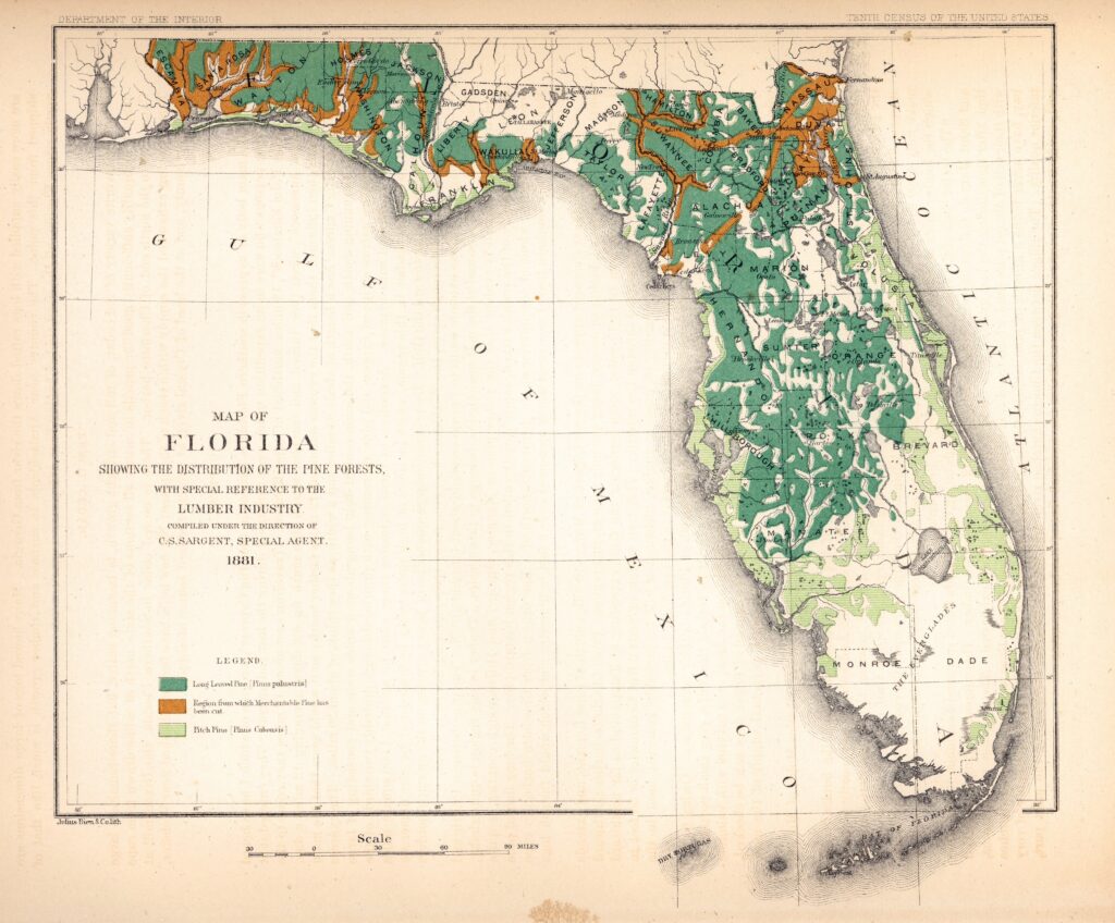 Historical thematic map of Florida showing the distribution of pine forests.