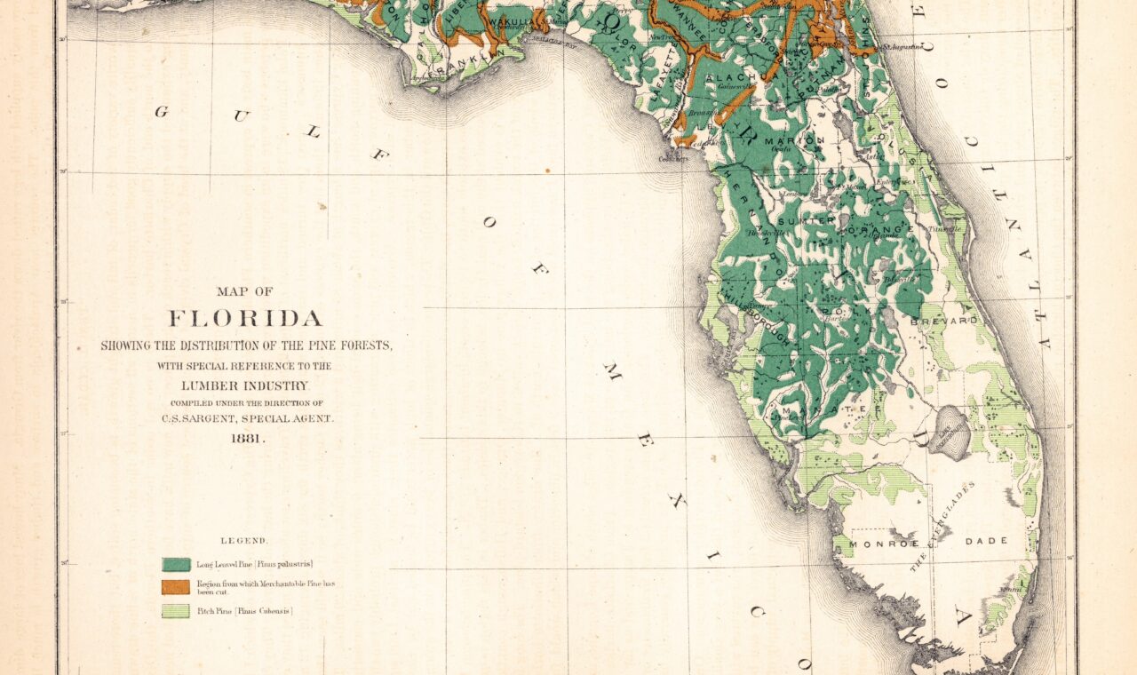 Historical thematic map of Florida showing the distribution of pine forests.